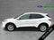 2021 Ford Escape Hybrid SE
