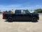 2026 Ford F-150 STX LOBO